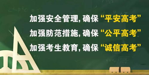 辽宁省教育考试院，教育公平的坚实守护者