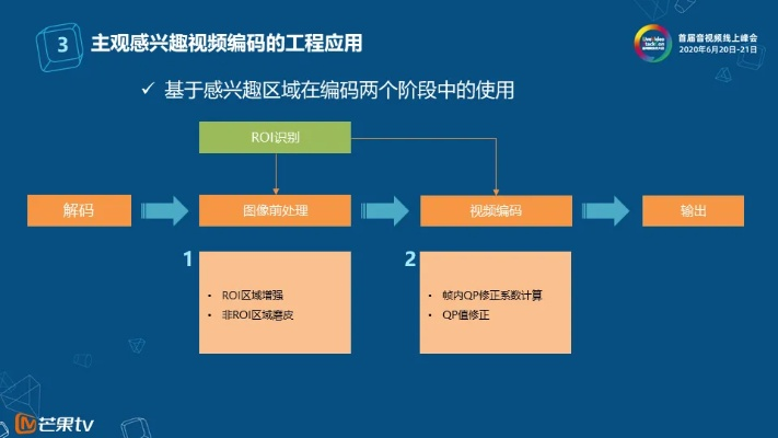 深度解析视频分区的奥秘与价值