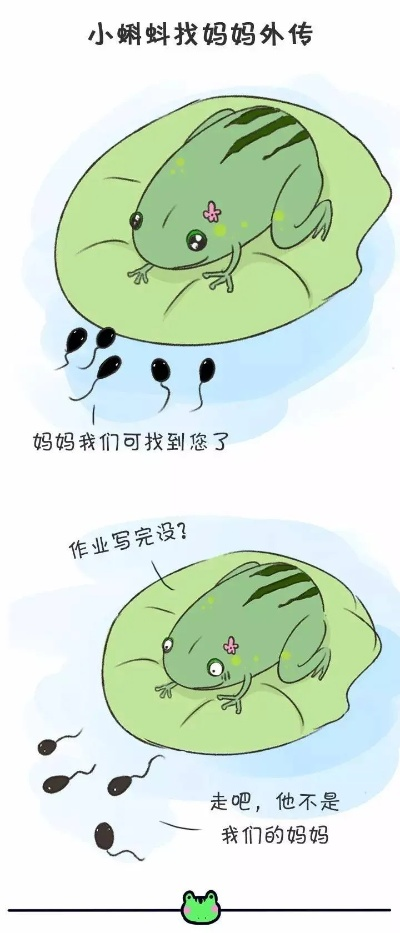 探索独特的网络世界——蝌蚪网