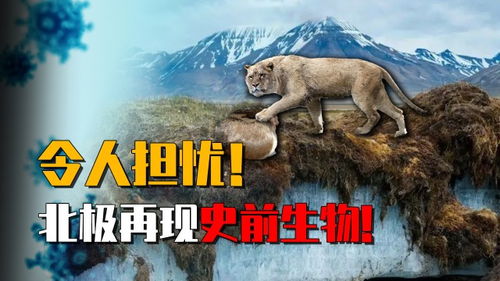 北极四万年古生物苏醒揭示地球生命新篇章