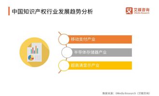 知识产权网的发展及未来展望
